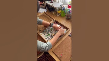 ★ Time to organize some pins! ☆