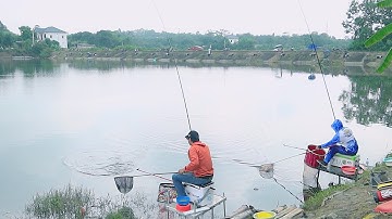 CÂU ĐÀI HỒ LỤC: Mồi Câu Cá Rô đơn giản, Giật Liên Tục