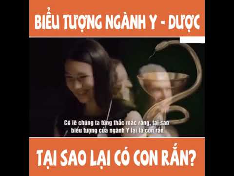 Biểu tượng ngành Y Dược tại sao lại là con Rắn? - youtube