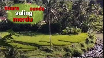 suara suling merdu dan pemandangan yang masih alami dan sejuk