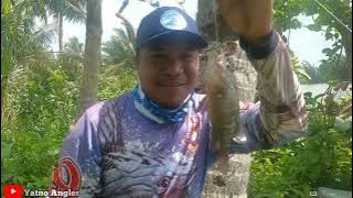 MANCING KAKAP DI SPOT ANDALAN CILACAP BARAT||SPECIAL ULANG TAHUN CWF(CILACAP WILD FISHING) YANG KE-2