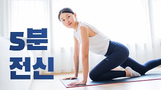 🔥짧고 굵게🔥 칼로리 폭파 5분 전신운동 (바쁜 아침에 하기 좋아요!)