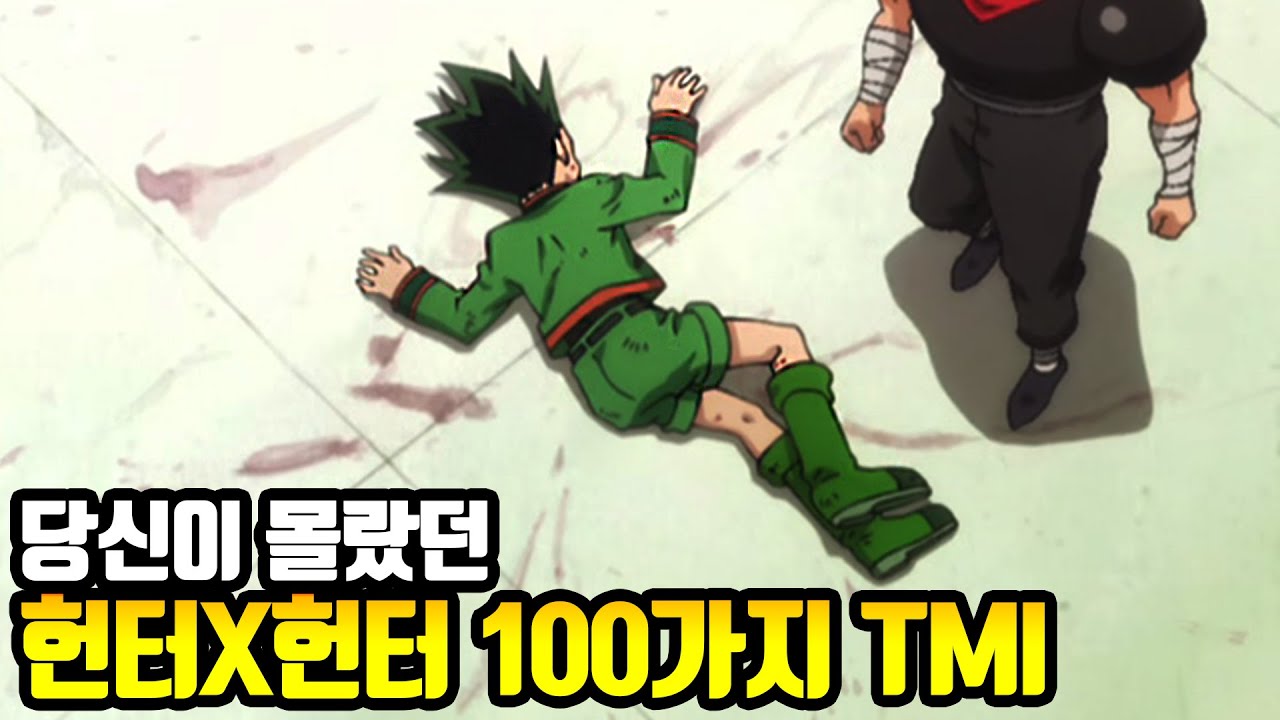 당신이 몰랐던 헌터X헌터 100가지 TMI