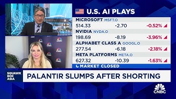 Michael Burry shorts Palantir and Nvidia: What it means for AI plays