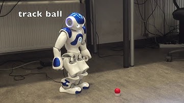 Student project: Do it NAO