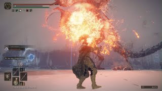 Famous Elden Ring, Comment très facilement battre le dragon : Borealis, la brume glaciale. Cimes des Géants Net Worth