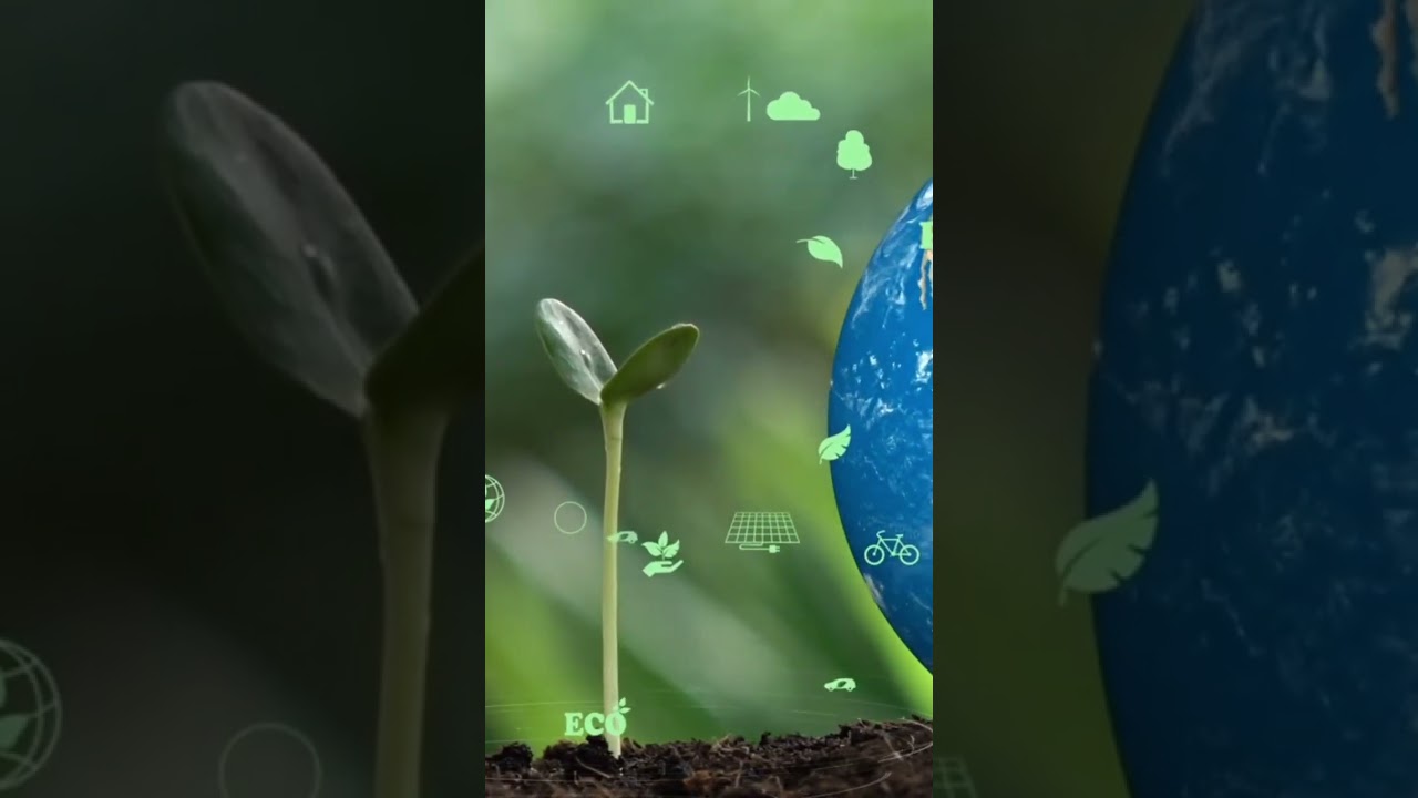 World Environment Day June 5