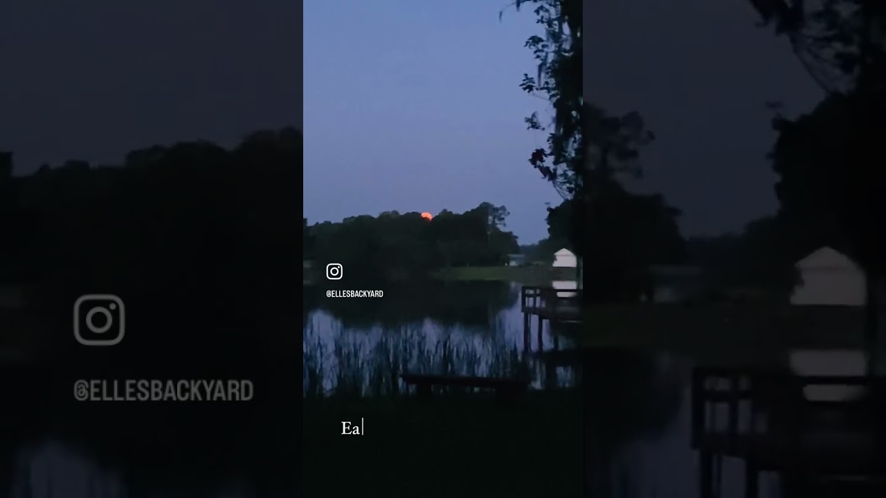 This morning’s moon set was magical 🌕 