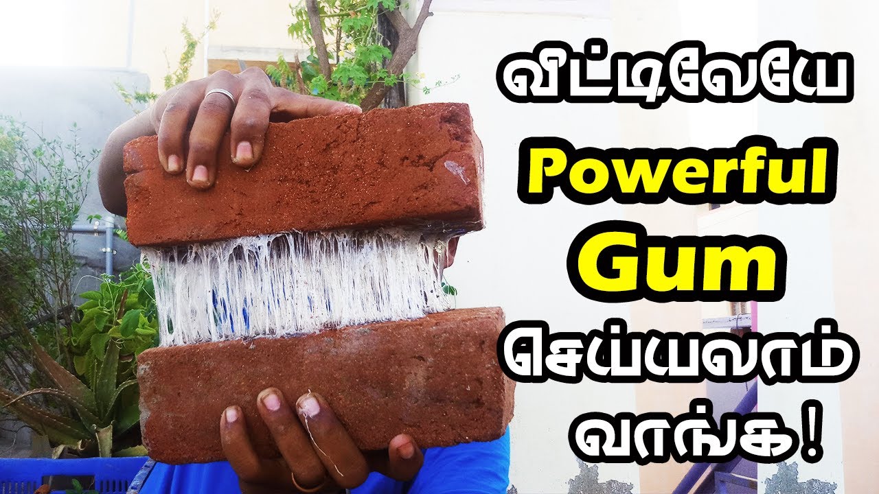How to Make the Strongest Gum? | வீட்டிலேயே Powerful பசை தயாரிக்கலாம் வாங்க! | Vijay Ideas