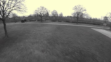 ImpulseRC Alien 5" - PID Tuning Check (BorisB Betaflight 2.1.6)