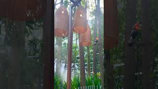 This is beautiful. 😍#trending #viral #viralvideo #malaysia #love #viralshorts