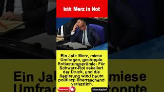 Merz in Not