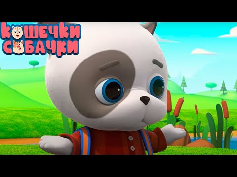 КОШЕЧКИ-СОБАЧКИ — Четвертая серия — Печенье для уточек