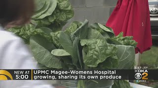 UPMC Magee-Womens Hospital grows and shares its own produce