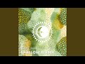 Shallow Water After Hours Extended Mix mp3