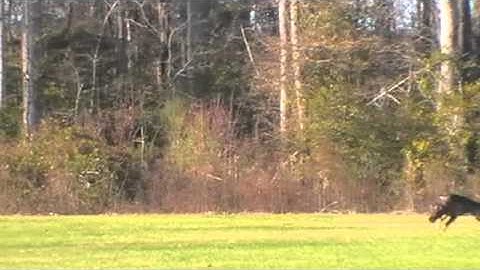 The Weekends Long Attacks