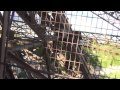 Climbing the steps of the Eiffel Tower