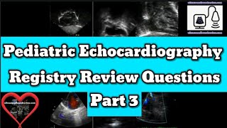 Pediatric Echocardiography Registry Review
