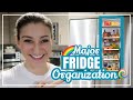 SMALL REFRIGERATOR ORGANIZATION IDEAS // How to Organize Your Fridge Like a Pro + Quick Fridge Clean