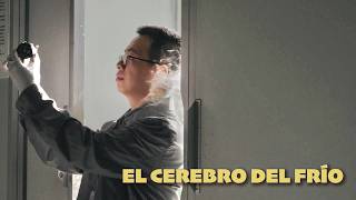 Maestro en Shenzhen | El cerebro del frío