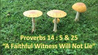 Proverbs 14:5 & 25, A faithful witness will not lie,KJV singalong w lyrics,C