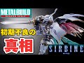 【初期不良の真相】星4つ！ プレミアムバンダイ 限定 METAL BUILD DRAGON SCALE サーバイン 丁寧に レビュー する動画 バンダイ メタルビルド ダンバイン 不良品