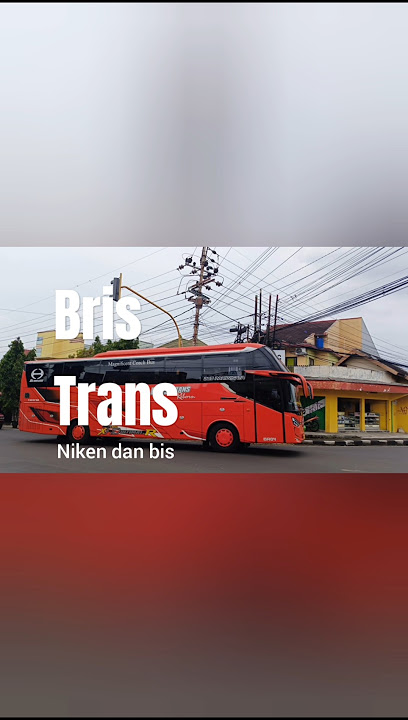 Bris Trans  #busmania #malang #batu #buspariwisata #telolet #fyp #shortvideo #nikendanbis #bristrans