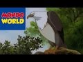 THE DEPARTURE Pocahontas Ep 1 EN 