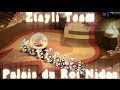[Dofus] Ztayli Team - Palais Roi Nidas a 8 en 15tours sans roublard bonus Distance mesurée.