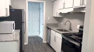 Icon Downtown - 1x1 A8 Fully Renovated