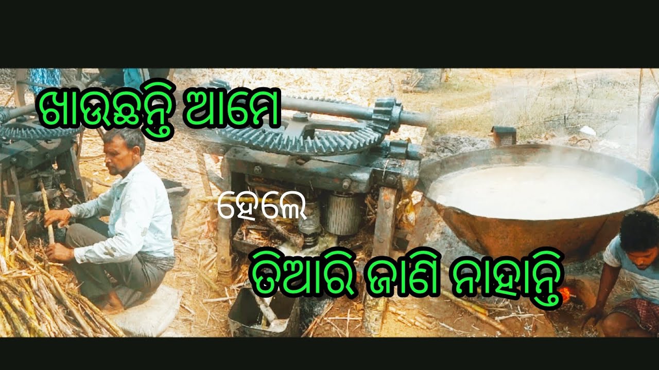 how to make jaggery #gud kese banate he #trending #amazing #desi #jaggery #jungliboy