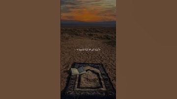 تلاوه خاشعه جميله بصوت الشيخ ماهر المعيقلي ارح سمعك #اكسبلور_فولو #ياسر_الدوسري