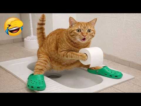 Try Not to Laugh Challenge 😆 Epic Animals 2026!🐱🐶
