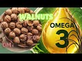 Are You Missing Omega-3? Signs & Best Food Sources You Must Know 🧠❤️
