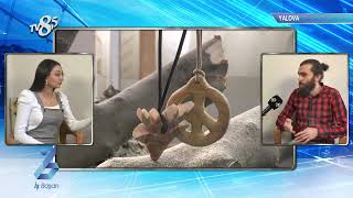 Odun Adam Sanat Atölyesi - Tv8,5 İş Ve Başarı Resimi