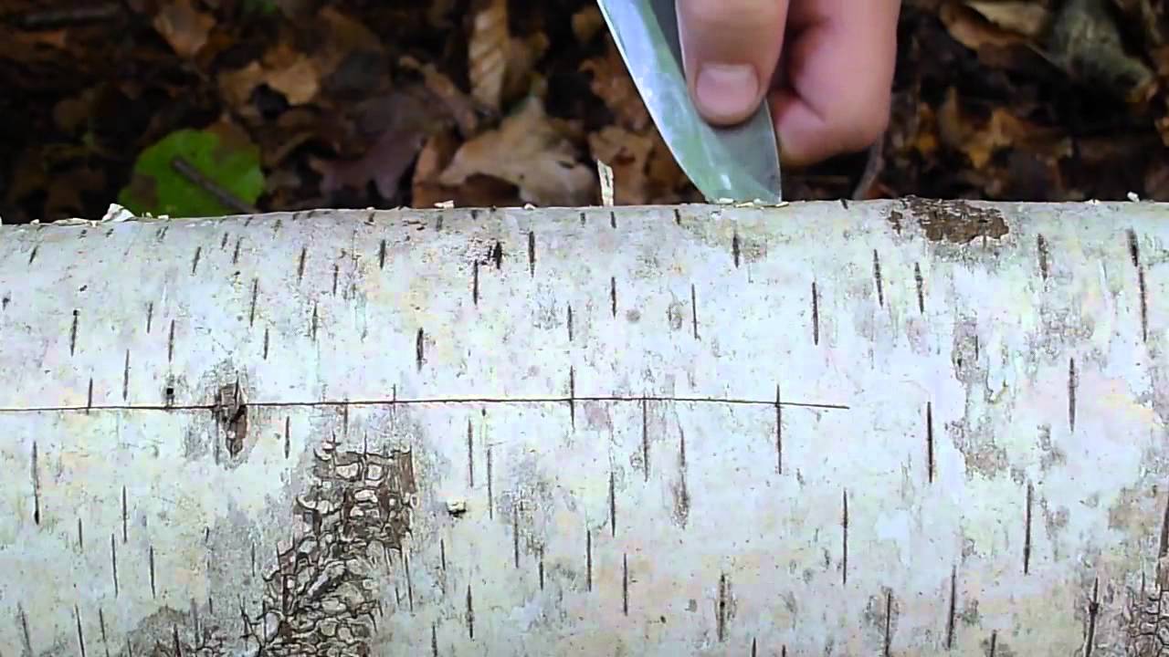 How To Use A Bushcraft Knife to Remove Bark YouTube