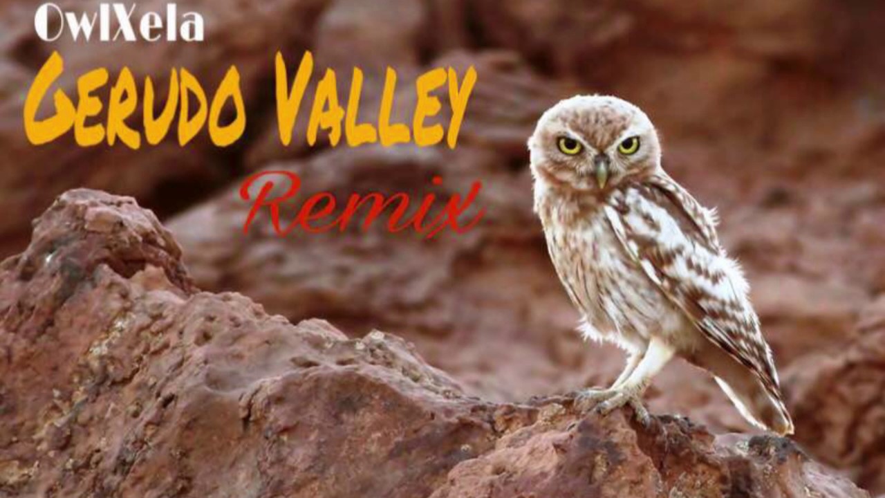 Gerudo Valley Remix - OwlXela