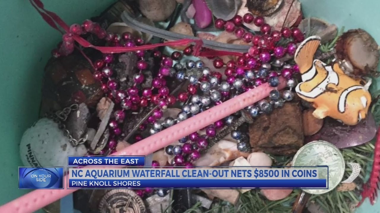 Pine Knoll Shores Aquarium finds $8,563 at the facility's waterfall