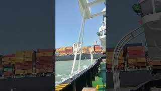 MSC CONTAINER VESSELS.              #sea #ship #shorts #containership #sealovers ##youtubeshorts