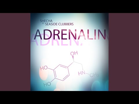 Adrenalin ft. Seaside Clubbers (Thimlife Extended Mix)