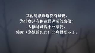 《慈烏夜啼》 白居易（繁體）台灣國中國文《聽古文》Classical Chinese Literature（慈烏失其母，啞啞吐哀音。）