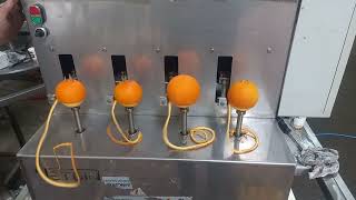 Portakal Soyma Makinasi