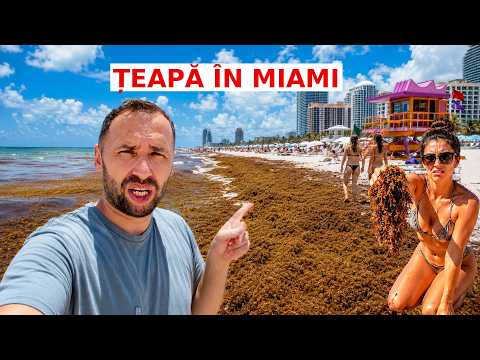 Video Am ajuns în MIAMI, SUA, dar am f?cut o GRE?EAL?… nu trebuia s? venim acum aici