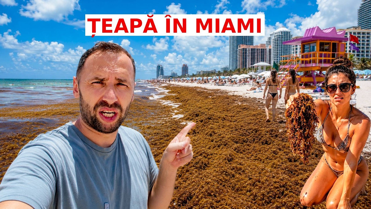 Am ajuns în MIAMI, SUA, dar am făcut o GREȘEALĂ… nu trebuia să venim acum aici