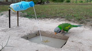 Parrot Trap Easy || Install By Paper And Bottle Lactasoy