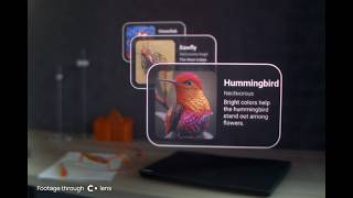 3D Screen and High Resolution — Here's What Light Field Display Looks Like