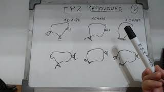 TP2 v4