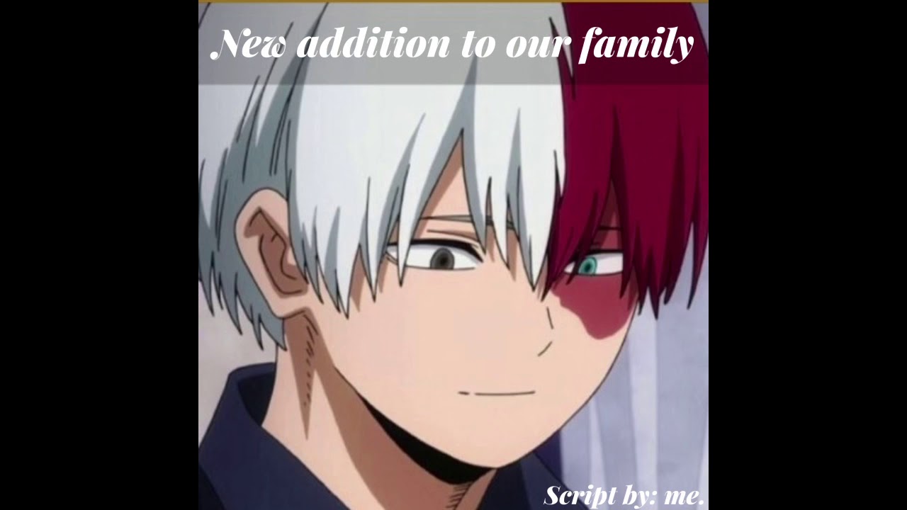 “New addition to the family” a todoroki x listener asmr