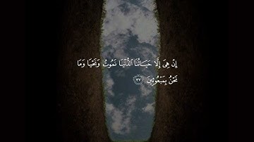 ( ولئن اطعتم بشرا مثلكم إنكم اذا لخاسرون )  تلاوة ياسر الدوسري