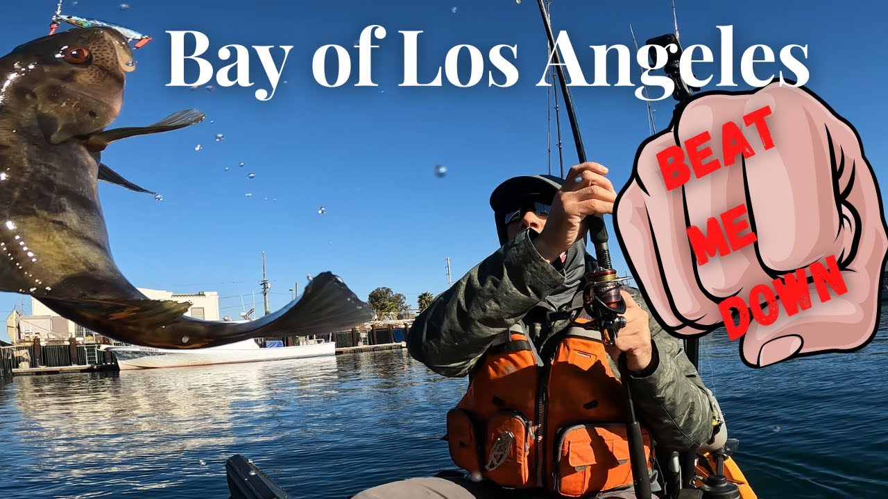 Fishing the Bay of Los Angeles for Spotted Bay Bass – Tournament Day Chaos!